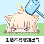 生活不易敲猫 生活不易敲猫
